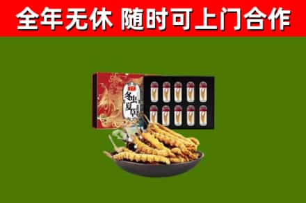 简阳市回收冬虫夏草价格